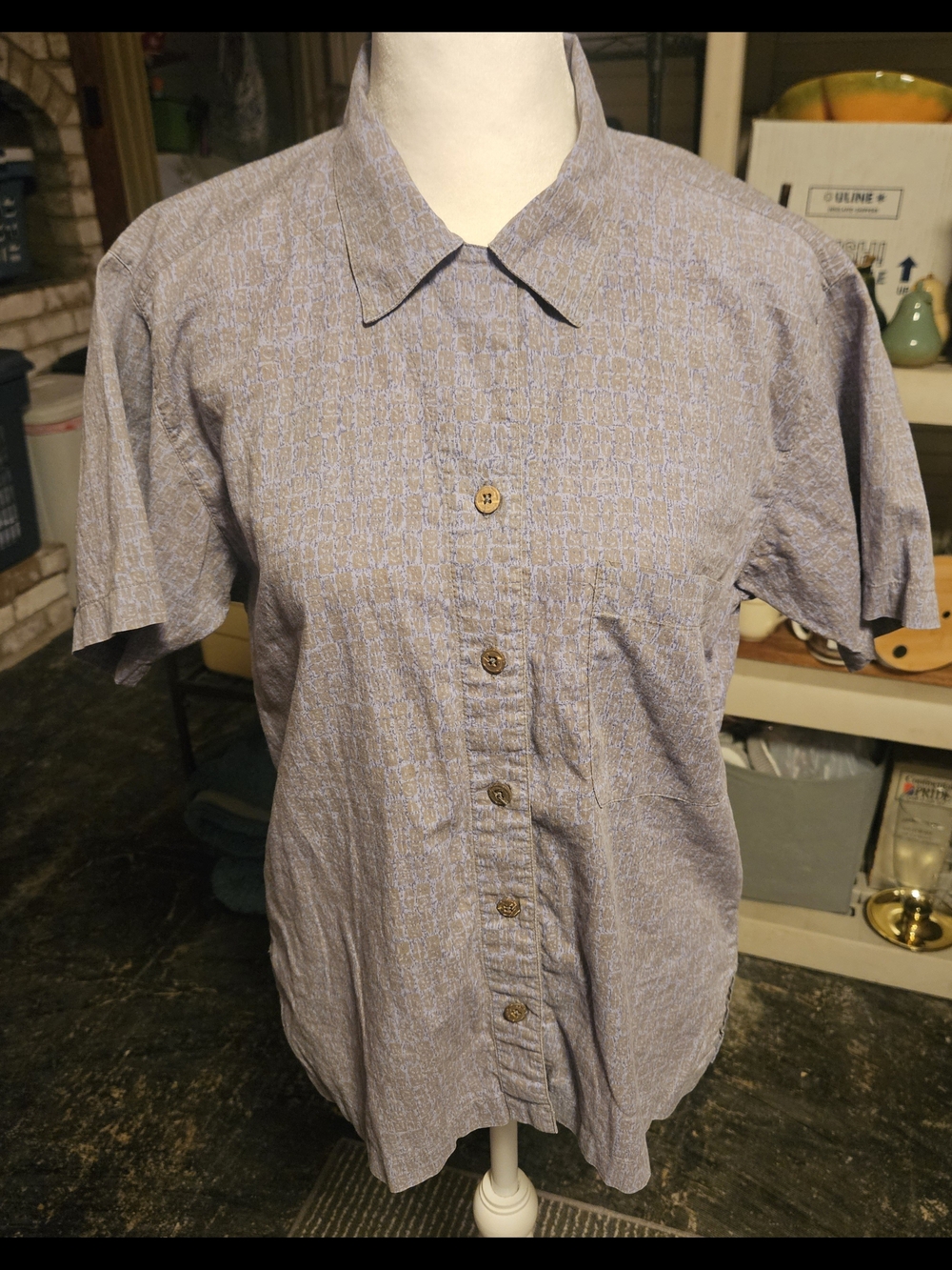 Patagonia Light Blue Short-Sleeve Button-Down Shirt